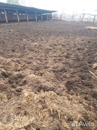 Навоз конский и коровий в мешках