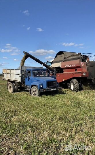 Консультирование в сфере мясного животноводства