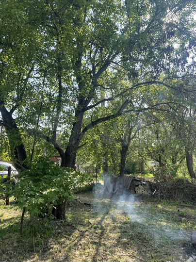 Дача 60,7 м² на участке 6 сот.