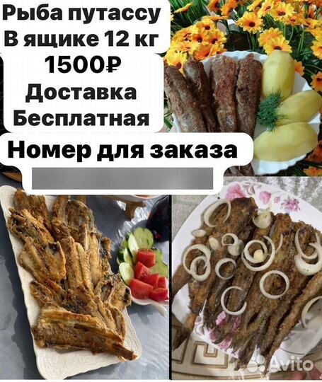 Свежая рыба путассу