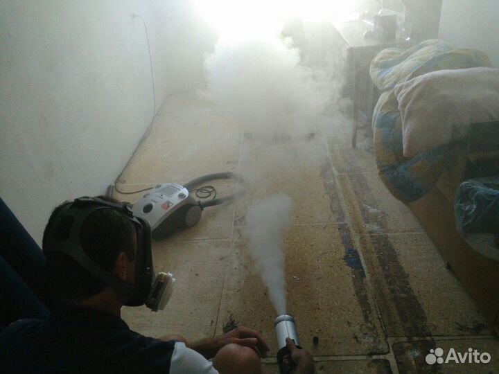 Уничтожение тараканов, клопов, блох и тд