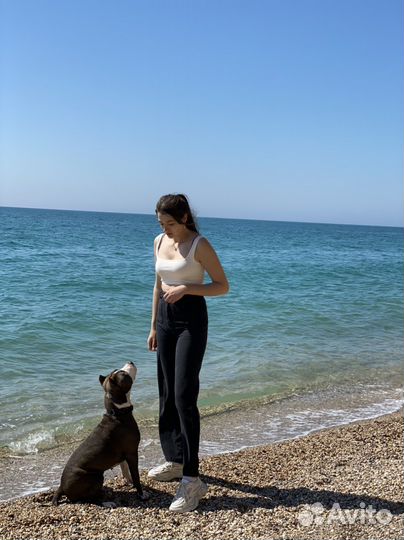 Выгул собак