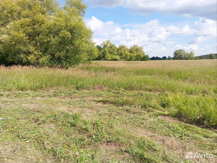 Сено луговое