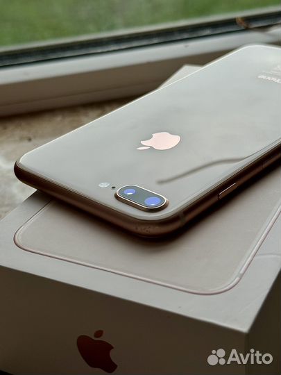iPhone 8 Plus, 256 ГБ