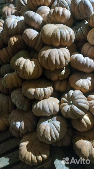 Цветная капуста