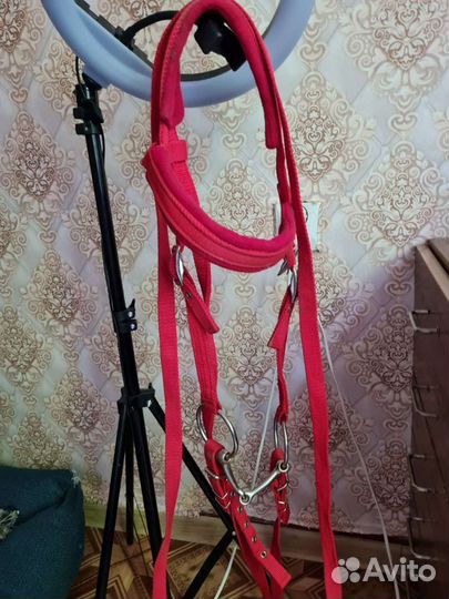 Амуниция для лошади