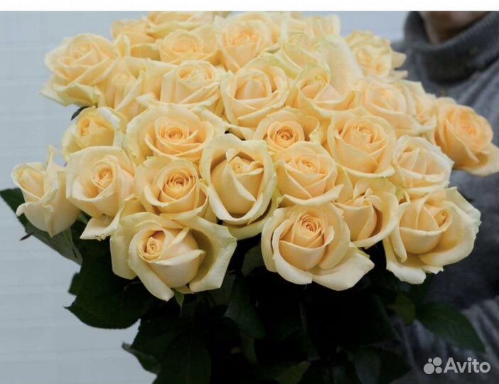 Розы оптоми в розницу