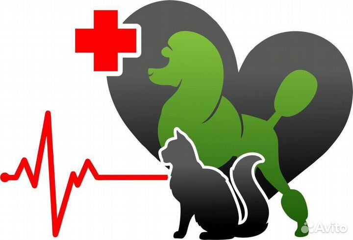 Ветеринарный врач