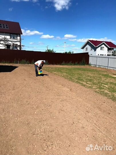 Посевной газон. Озеленение участка