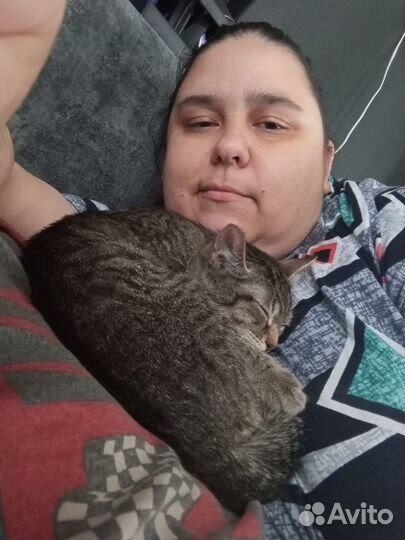 Потерялся котёнок, 5 месяцев