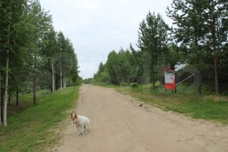 Участок 10 сот. (СНТ, ДНП)