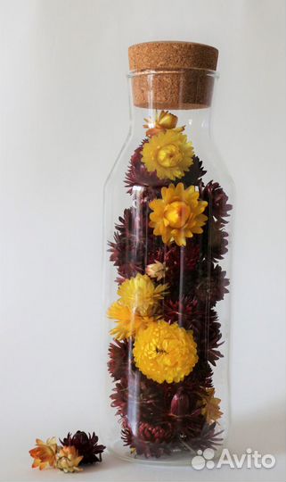 Сухоцветы / Гелихризум