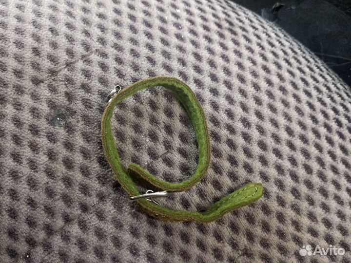 Ошейник для собак 300 торг уместен