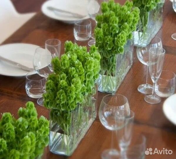 Продажа семян