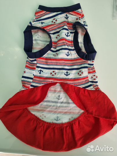 Одежда для сфинксов