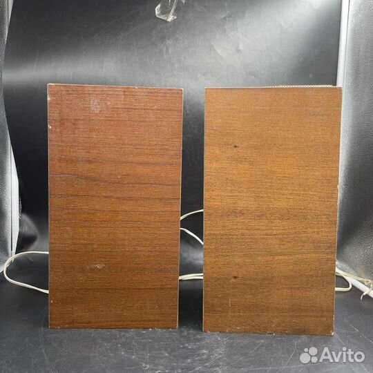 Акустическая система колонки 6 ас-2 1982 год ретро