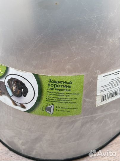 Защитный воротник для собак