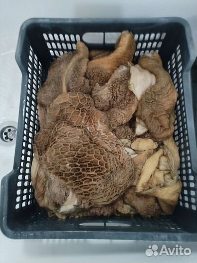 Говяжий рубец