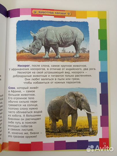 Детская энциклопедия животные для детей