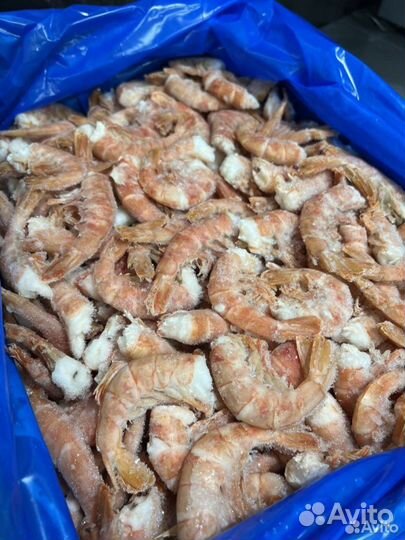 Лангустины