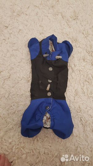 Одежда для собак