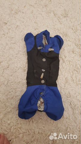 Одежда для собак