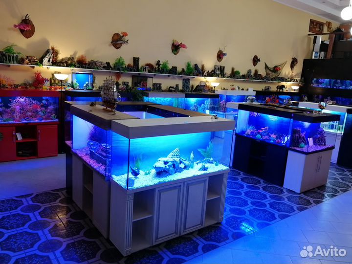 Аквариумы любых размеров