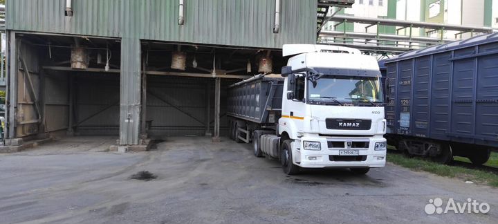 Полуприцеп самосвальный WIELTON NW 3 S 39 PKD, 2022