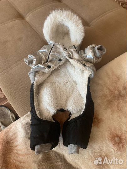 Одежда для маленьких собак