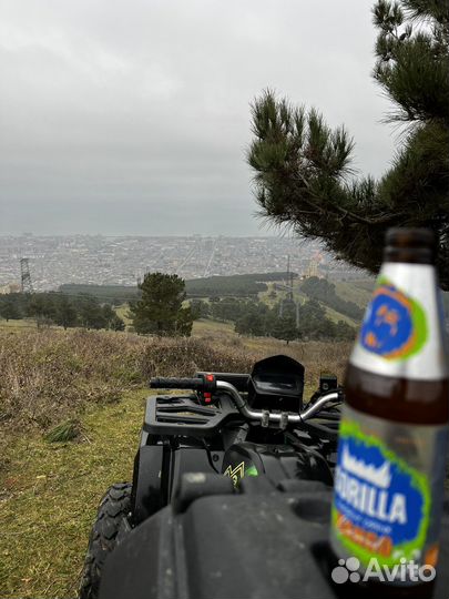 Прокат квадроциклов