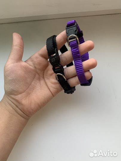Ошейник для собак