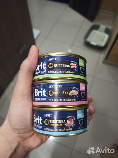 Влажный корм для кошек brit