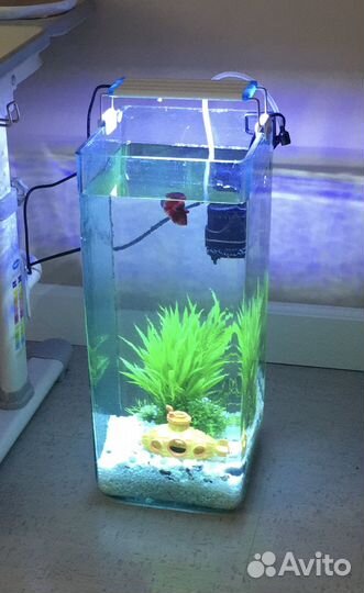 Аквариум (колба) со всеми комплектующими