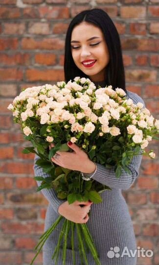 Роза кустовая