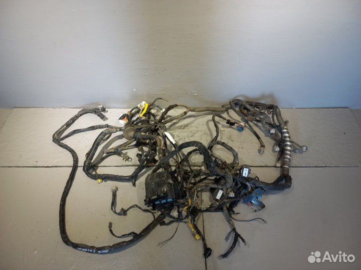 Проводка двигателя Suzuki Grand Vitara J20A 2011