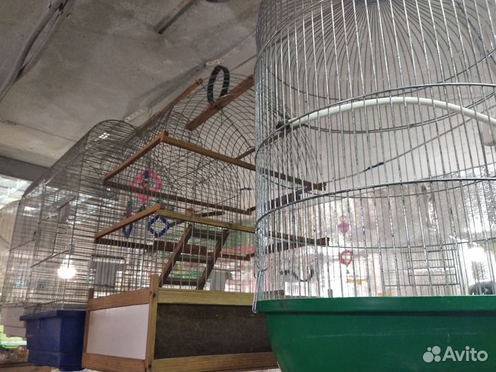 Клетки для птиц- морских свинок- крыс-дегу и тд