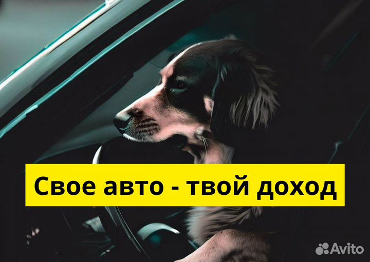 Яндекс Go: водитель на своем авто