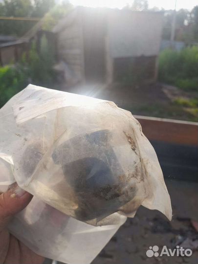 Сальники на Daewoo Nexia