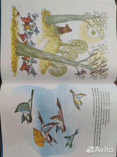 Геннадий Цифровой 