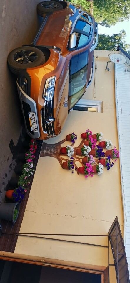 Renault Duster: фото владельца