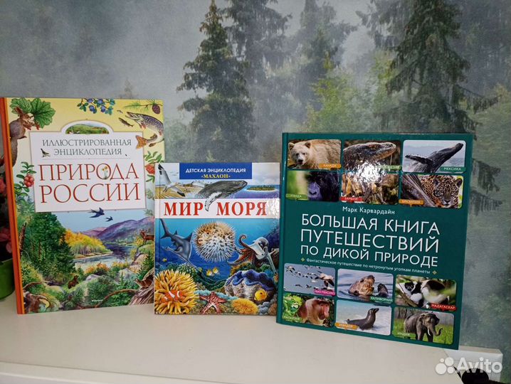 Энциклопедии