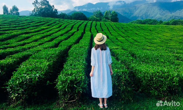 Джип-тур Солох Аул