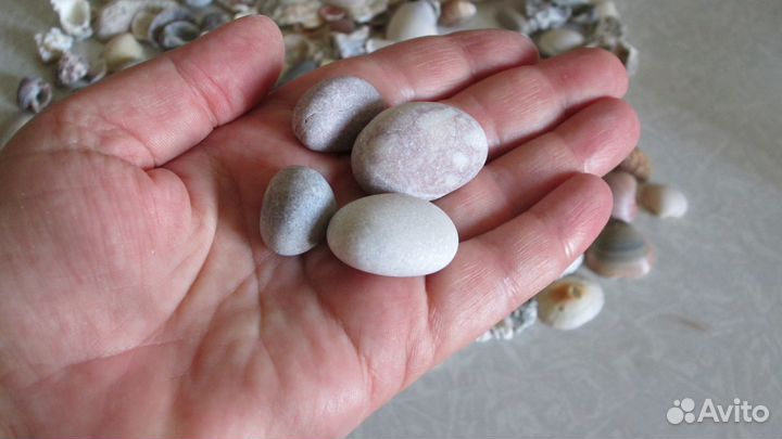 Морские ракушки, камни для коллекции, поделок