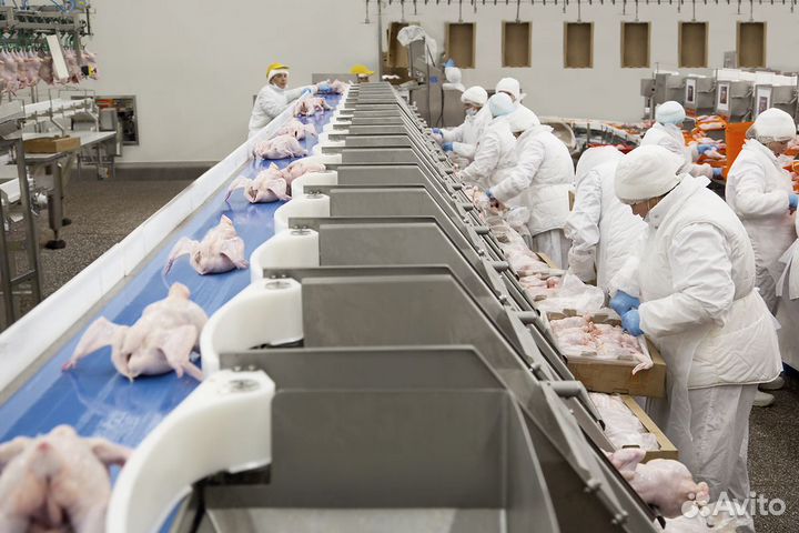 Вахта/г.Шахты/проживание/проезд/питание