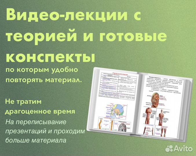 Репетитор по биологии ОГЭ