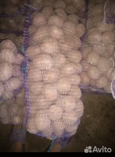 Картофель с доставкой