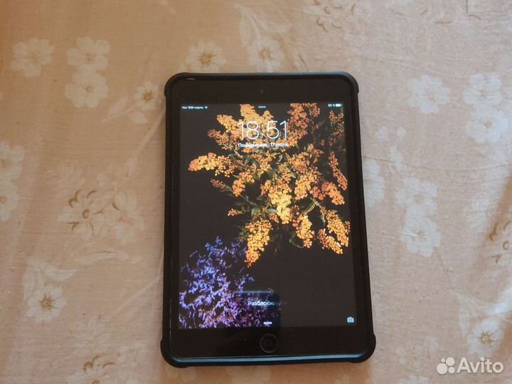 iPad mini 2