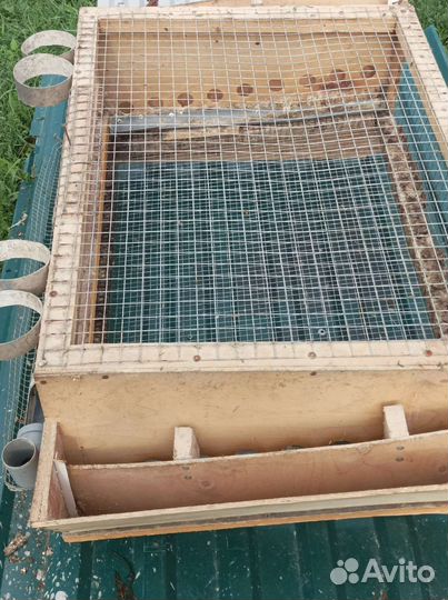 Клетки для перепелов
