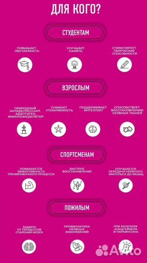 Brainstorm - с ежовиком для мозга EWA