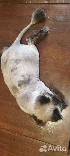 Уход за животными